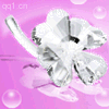 爱的水晶装饰头像_www.qqtu8.net