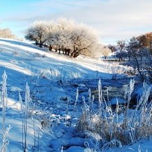 冬雪风景_www.qqtu8.net