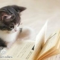 温顺可爱的小猫咪头像_www.qqtu8.net