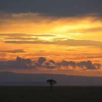 迷人的非洲风景头像_www.qqtu8.net