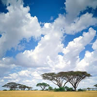 迷人的非洲风景头像_个性头像,风景头像-www.qqtu8.net