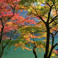 秋季风景_www.qqtu8.net