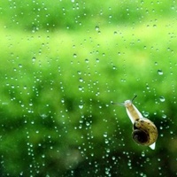 雨天唯美中的伤感_www.qqtu8.net