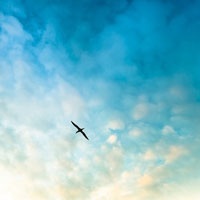 蓝色天空下_个性头像,风景头像-www.qqtu8.net