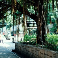 记忆中的香港街头_www.qqtu8.net