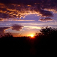 落日下的唯美风景_www.qqtu8.net