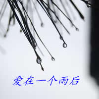 雨天伤感文字风景_www.qqtu8.net