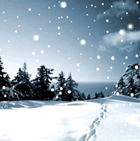 动态雪景头像_www.qqtu8.net