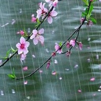 春雨的色彩_www.qqtu8.net